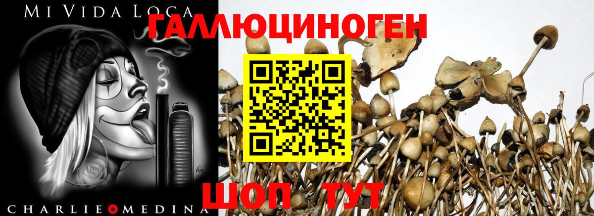 Псилоцибиновые грибы ЛСД Изобильный