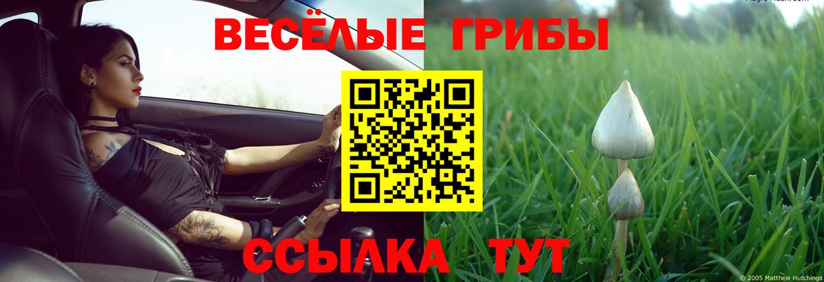 Изобильный  Галлюциногенные грибы GOLDEN TEACHER  Галлюциногенные грибы ЛСД  Вход с VPN 